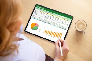 Microsoft Excel Essentials