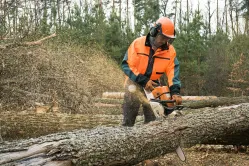 Chainsaw Safety – Training