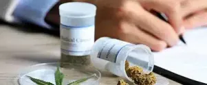 Cannabis & the Workplace: Impairment Awareness for Employees