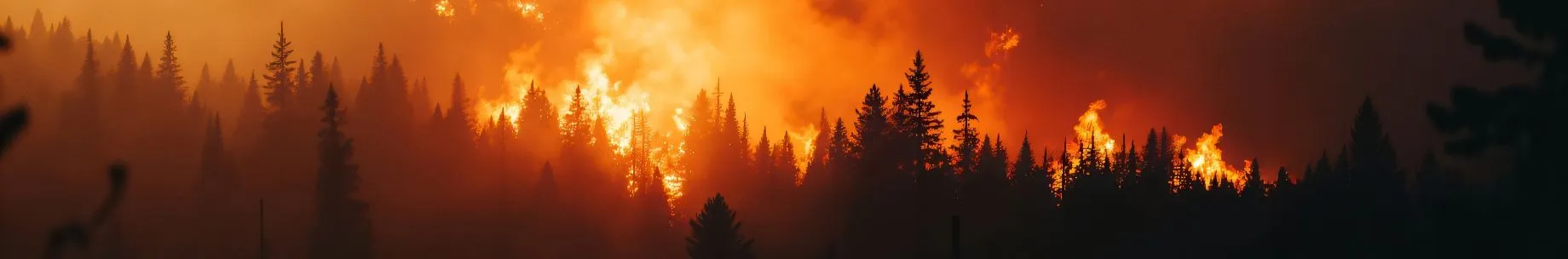 Wildfire Safety