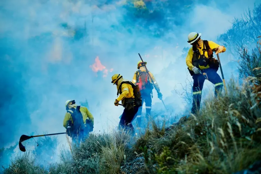 - BIS Safety Software Shot of fire fighters combating a wild fire.