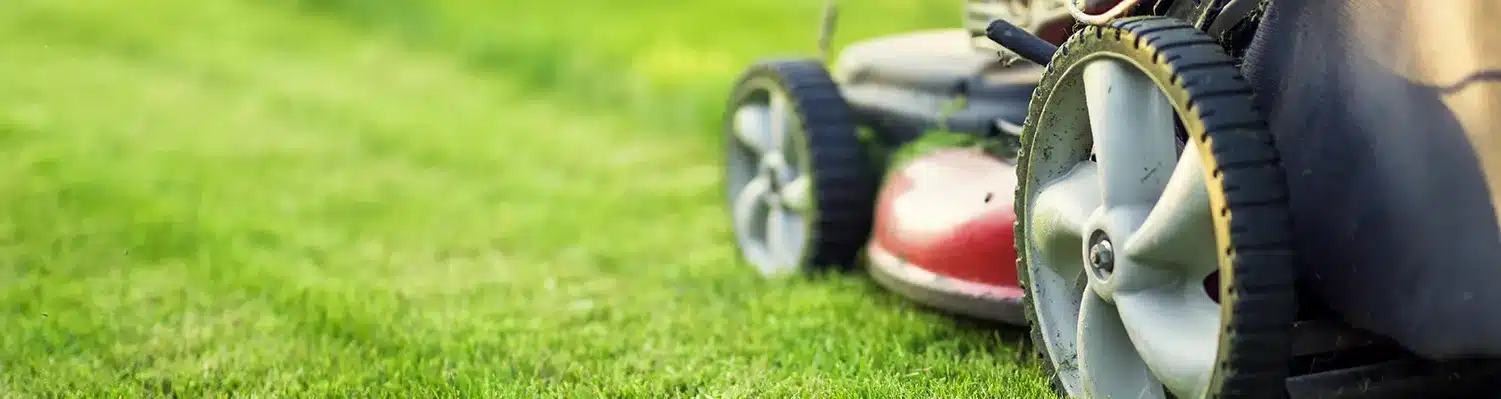 Lawnmower Safety Training (OSHA) – Operator