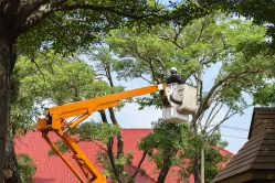 Bucket Rescues