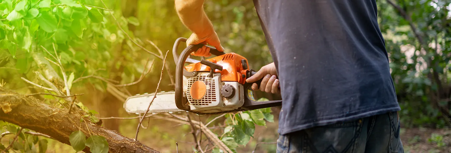 Chainsaw Safety (Ontario)