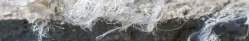 Asbestos Hazards and Controls (OSHA)