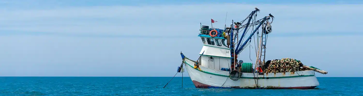 Maritime Fall Protection (OSHA)