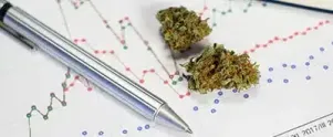 Cannabis & the Workplace: Employee Overview/Rights and Responsibilities