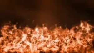 Combustible Dust (US)