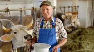 Dairy Workers: Personal Protective Equipment Safety