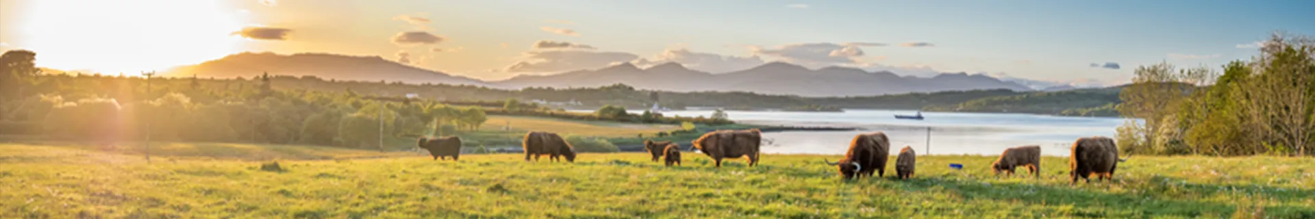 Dairy Workers: Animal Handling and Health