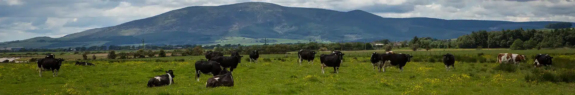Dairy Workers: Machinery Safety in the Field