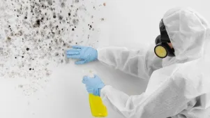 Mould Safety 2025