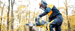 Chainsaw Safety (Ontario)