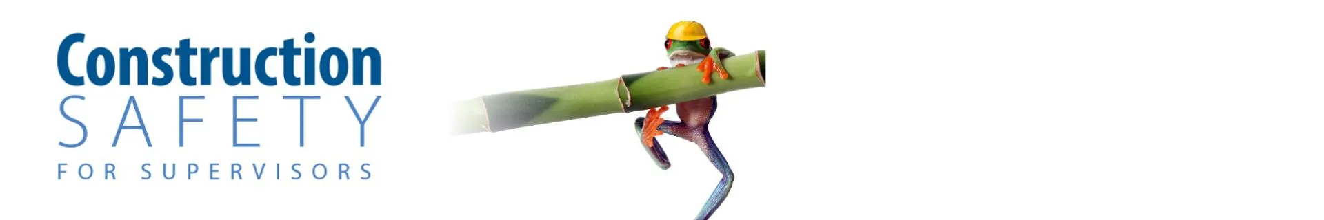 Construction Safety for Supervisors