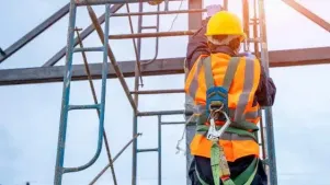 Fall Protection (BC)