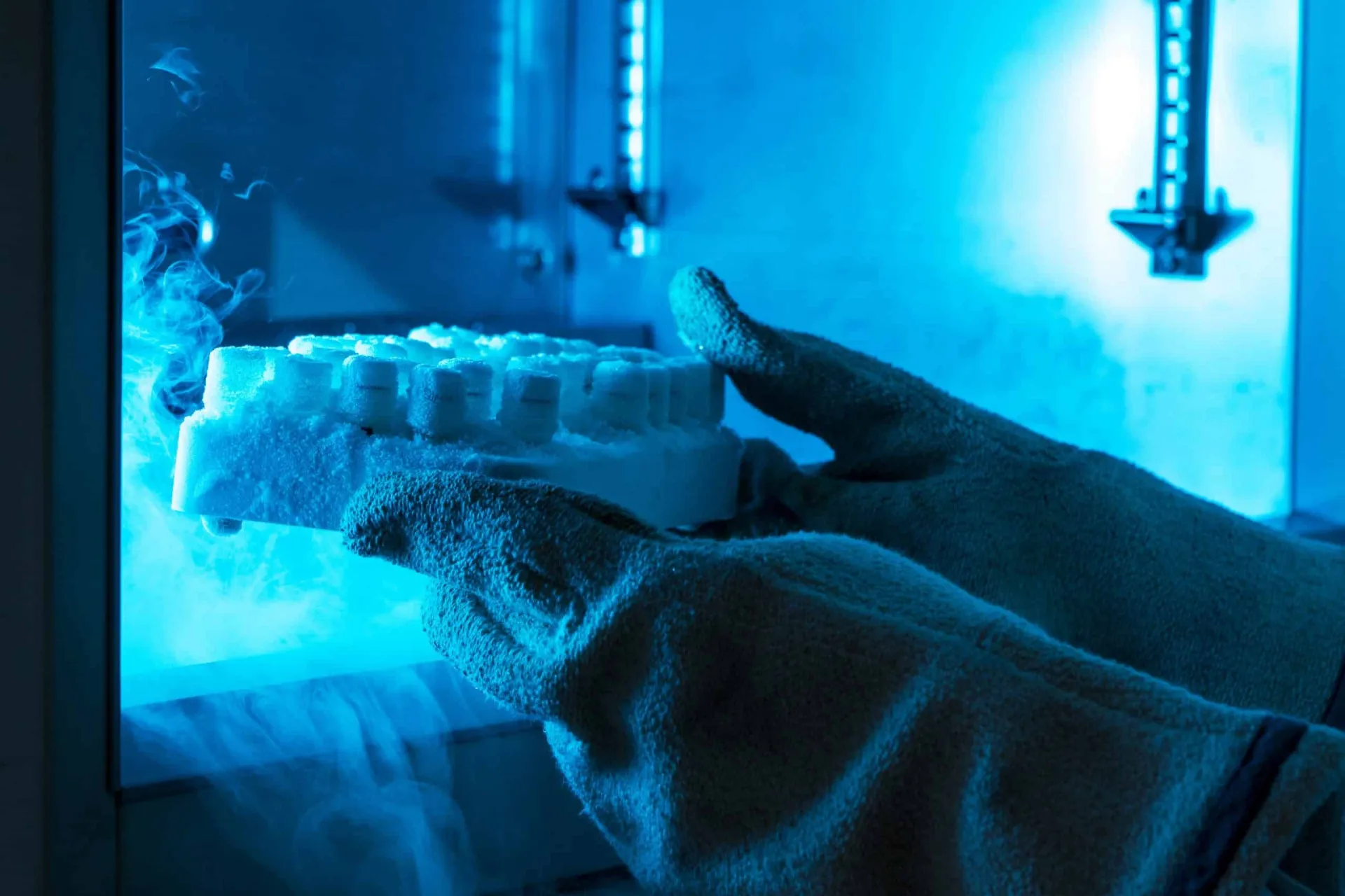 ICC Shipping Biological Substances & Dry Ice by Ground (CA)