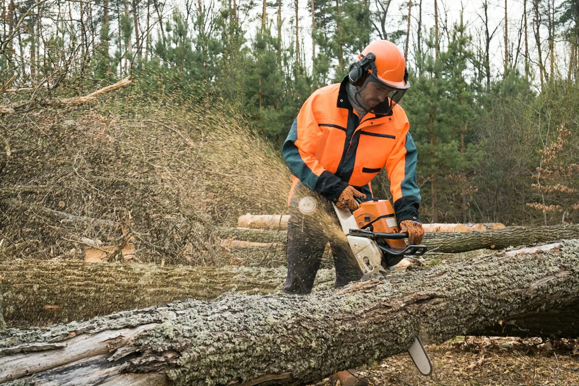 Chainsaw Safety – Training