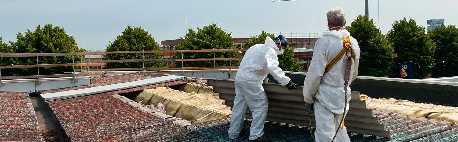 Asbestos and Silica Dust Training