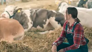Dairy Workers: Feed Handling and Storage Safety