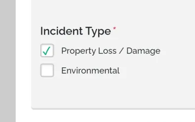 Digital Safety Forms