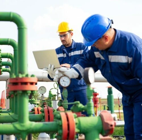 An Employee using the Best LMS for Safety