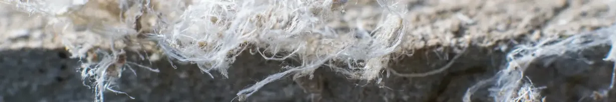 Asbestos Hazards and Controls (OSHA)